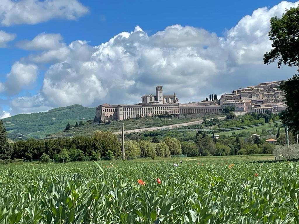 Villa Il Fienile Di Assisi Exterior foto